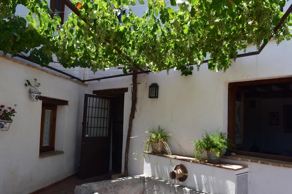 Carmen De Ramilla, Encantadora Guesthouse Con Piscina Soleada Granada Exteriör bild