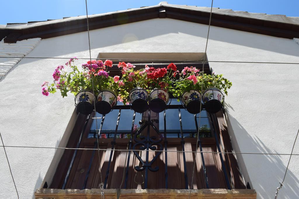 Carmen De Ramilla, Encantadora Guesthouse Con Piscina Soleada Granada Exteriör bild