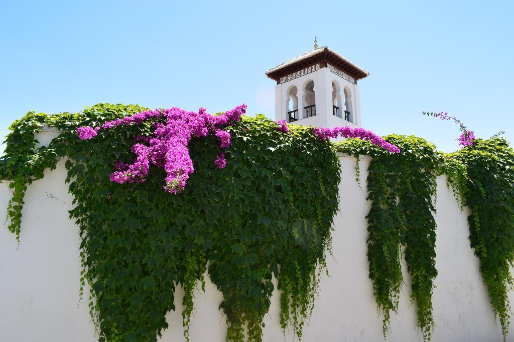 Carmen De Ramilla, Encantadora Guesthouse Con Piscina Soleada Granada Exteriör bild