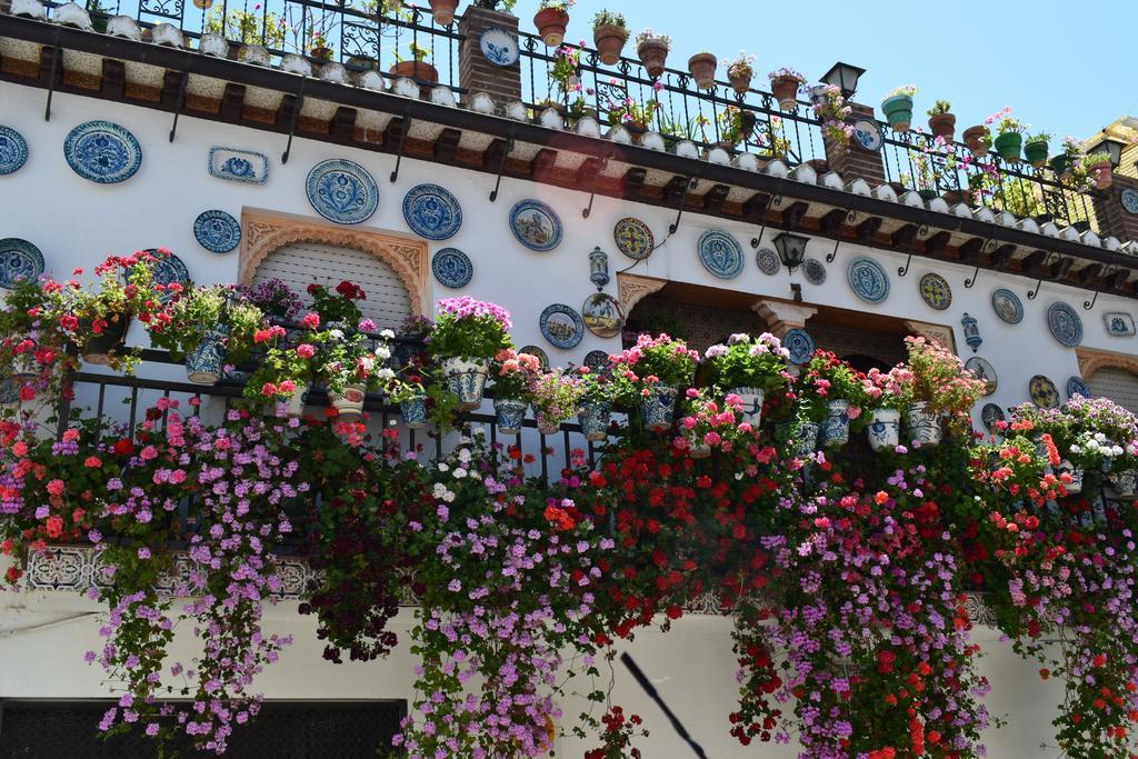 Carmen De Ramilla, Encantadora Guesthouse Con Piscina Soleada Granada Exteriör bild