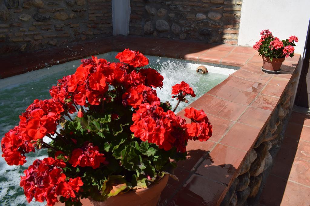 Carmen De Ramilla, Encantadora Guesthouse Con Piscina Soleada Granada Exteriör bild
