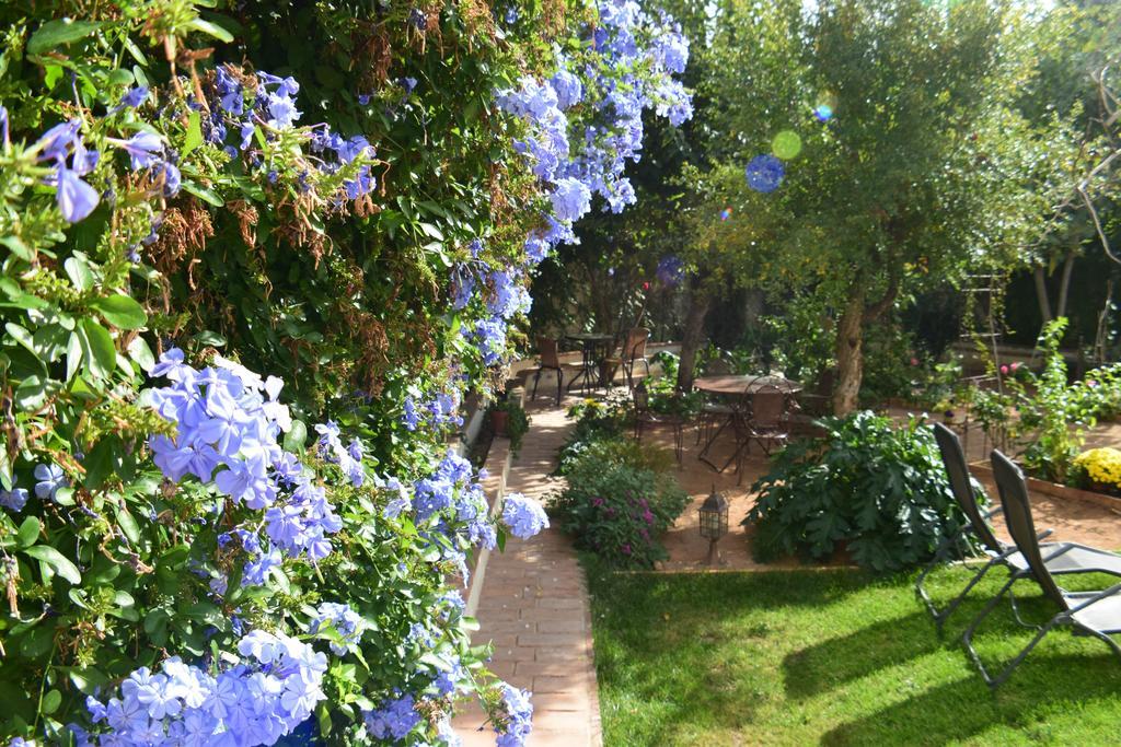 Carmen De Ramilla, Encantadora Guesthouse Con Piscina Soleada Granada Exteriör bild