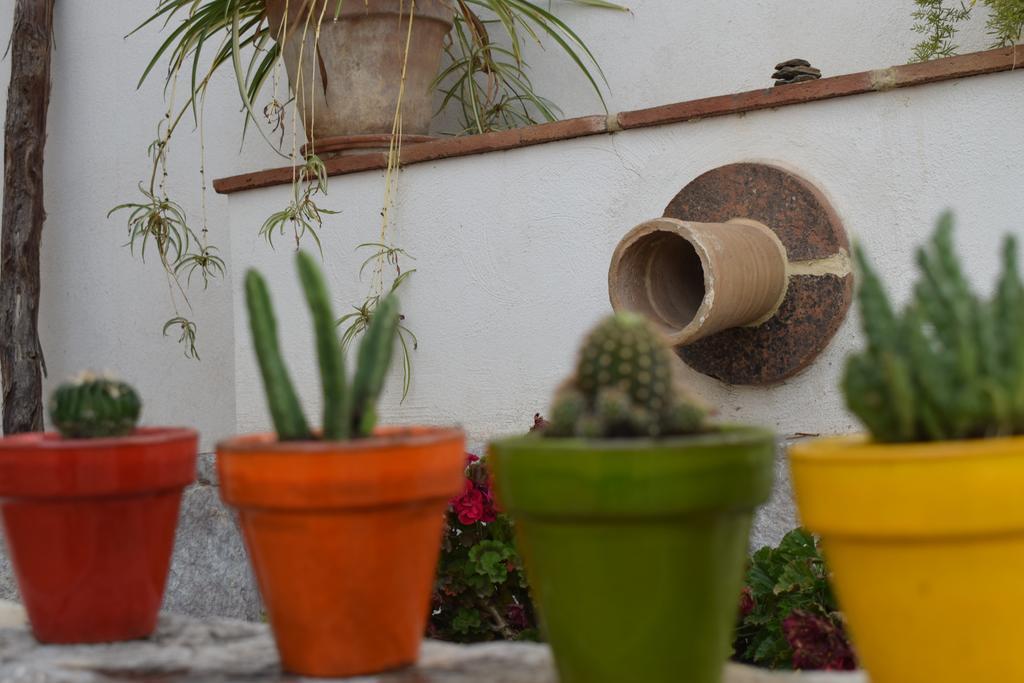 Carmen De Ramilla, Encantadora Guesthouse Con Piscina Soleada Granada Exteriör bild